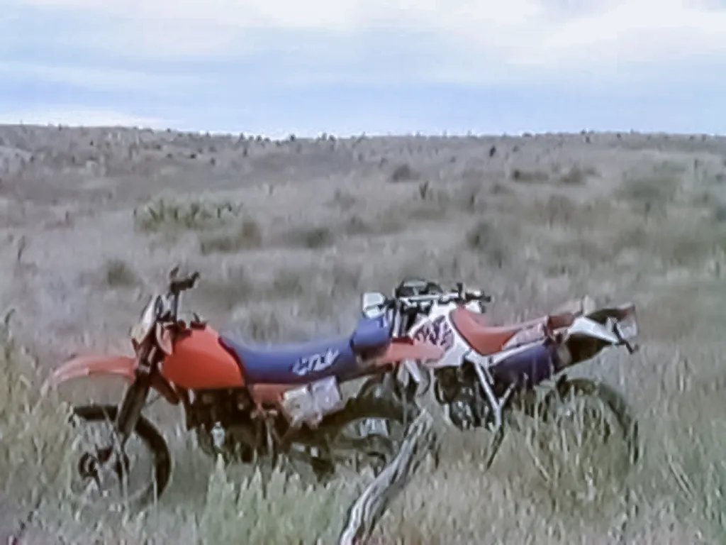 Grazing