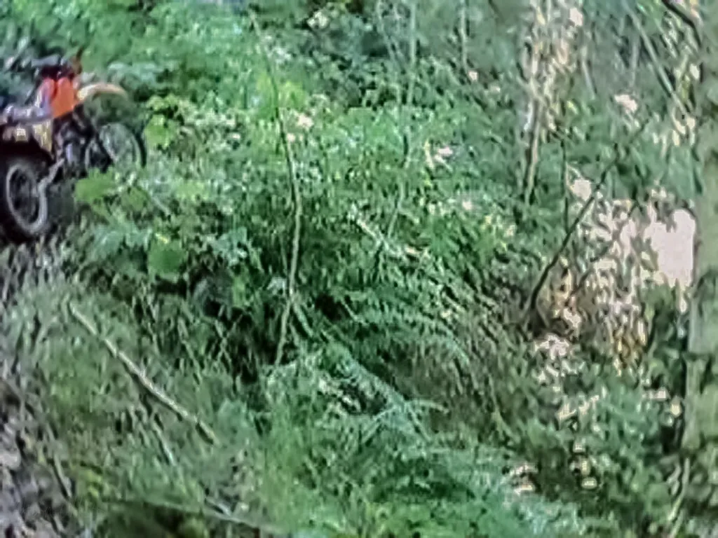 Steep