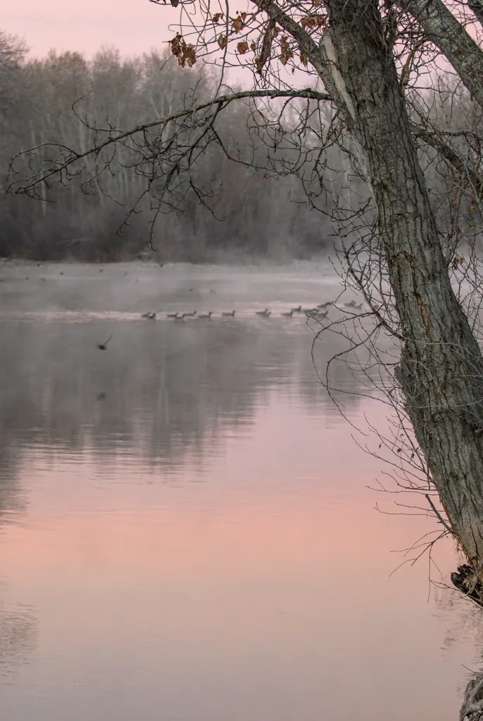 From the rope swing