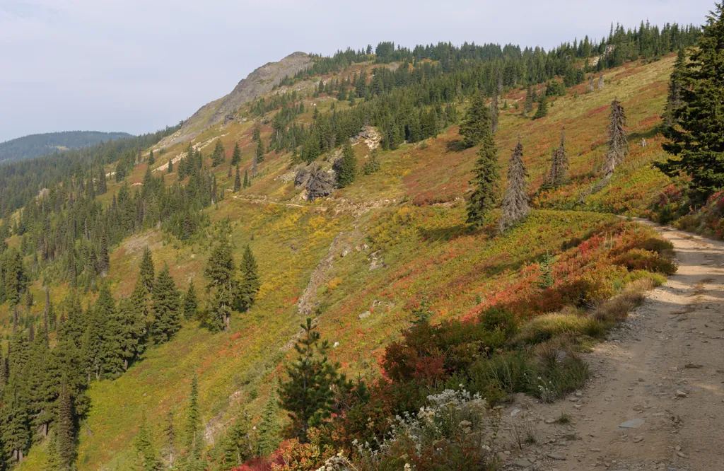 Fall colors