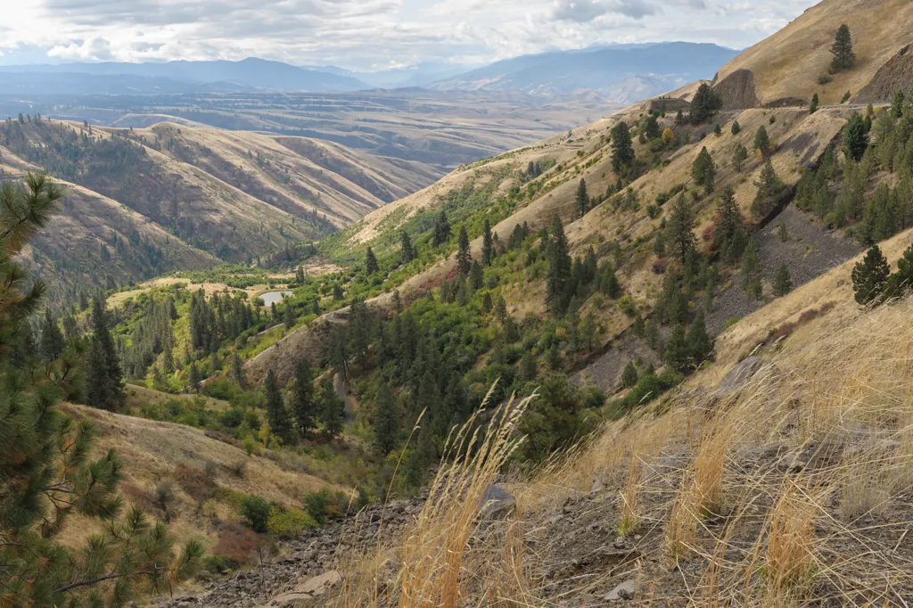 Down the valley