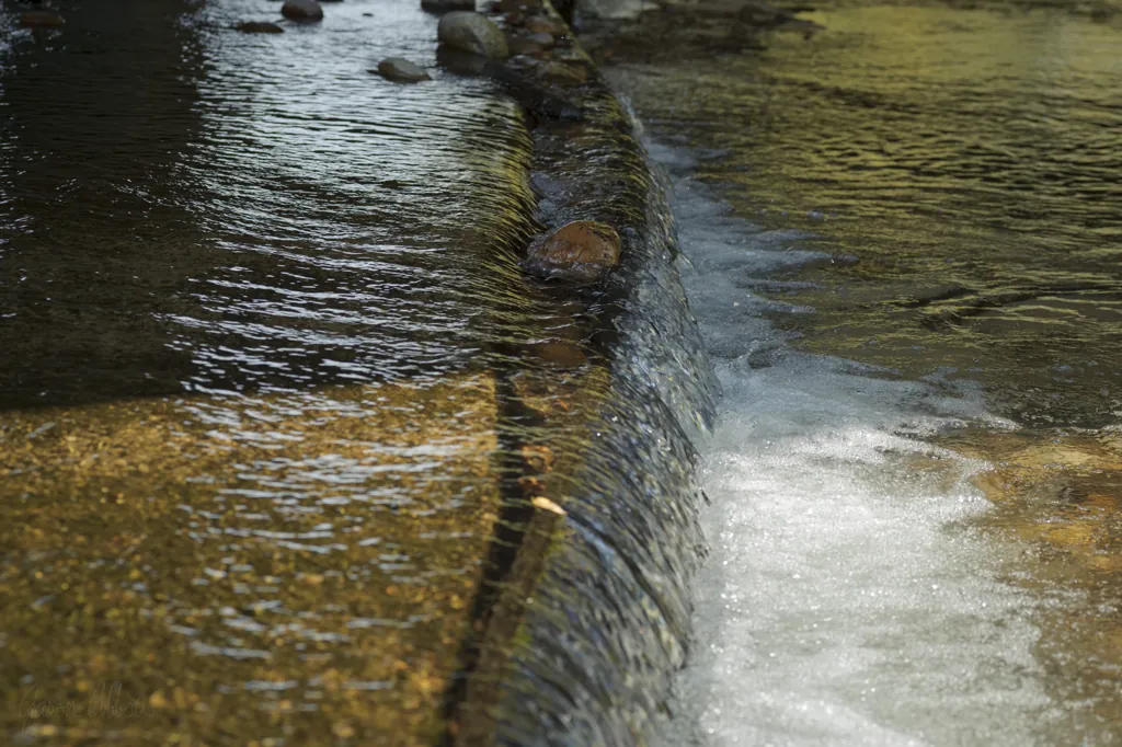 Rock and ripple