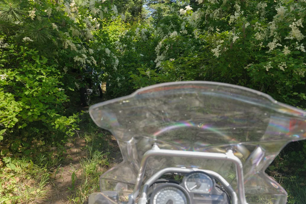 Nice trail
