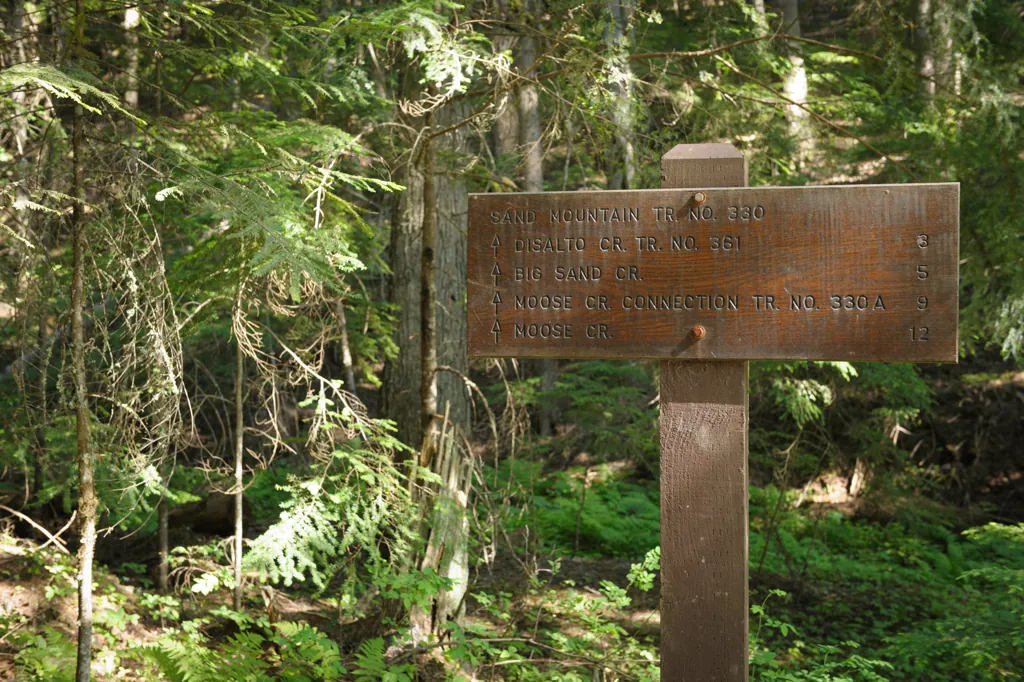 We'll take Moose Creek