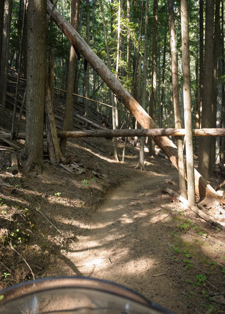 Finally, a real trail