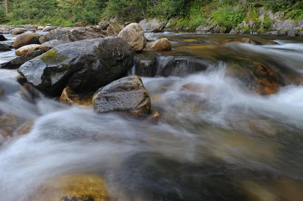 Whitewater