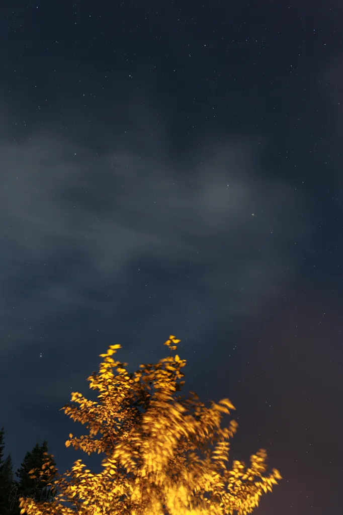 Fire light