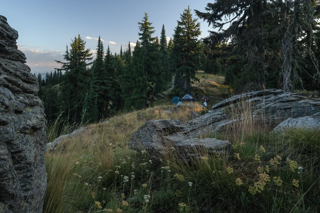 Ridgeline