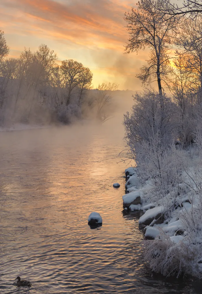 Striking cold and color