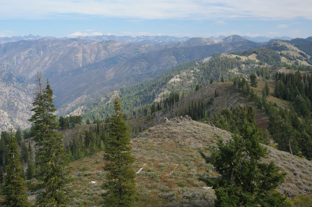 Sawtooth horizon