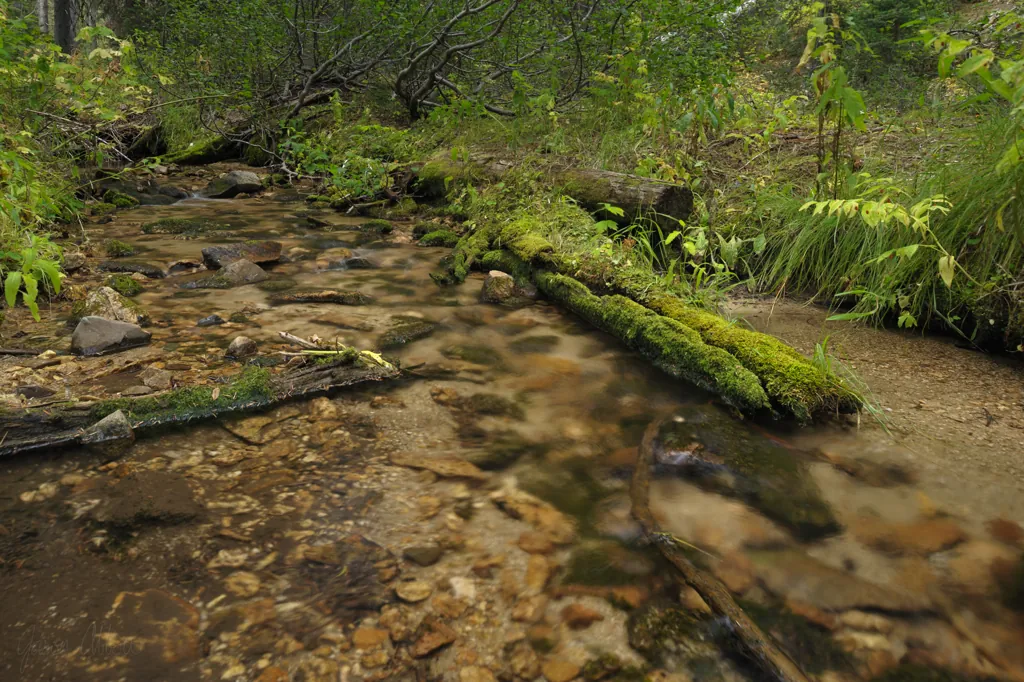 Crooked River tributary