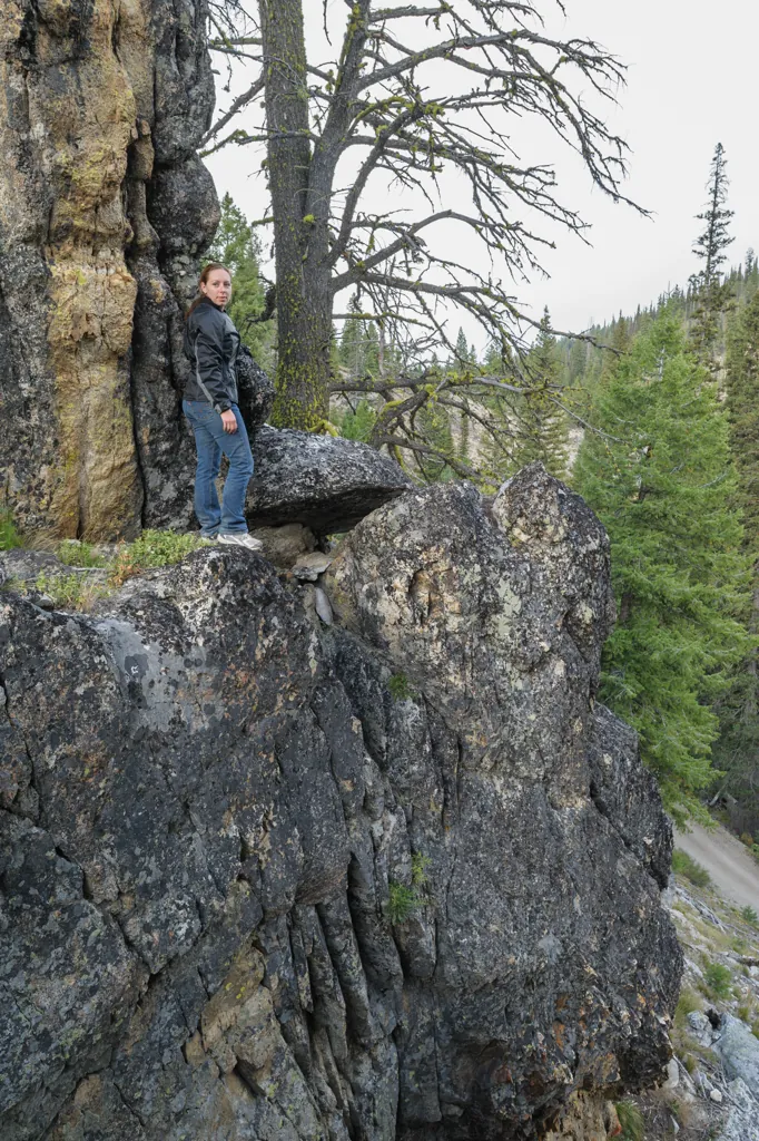 Risk taker