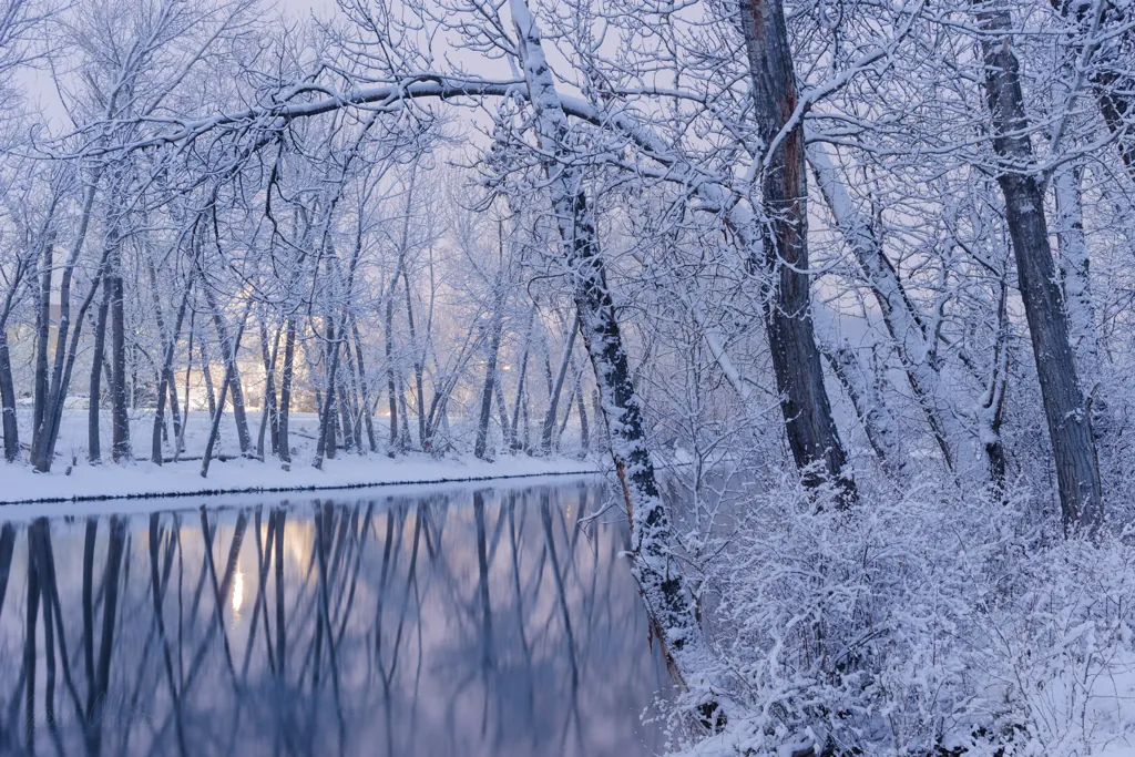 Regal river