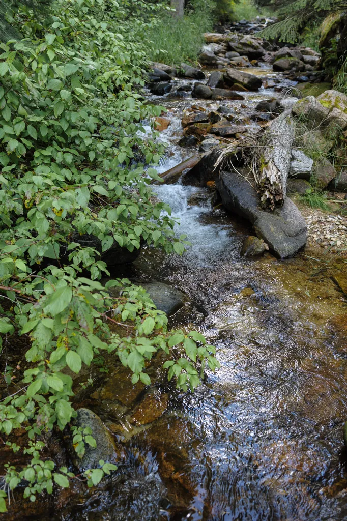 Doe Creek