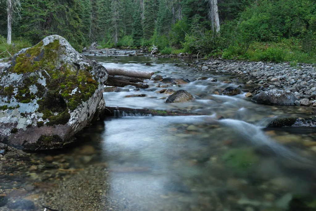 Cayuse Creek