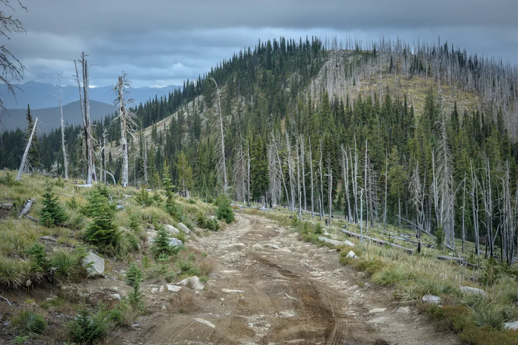 Blacklead Mountain