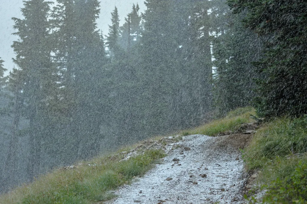 Sudden snow