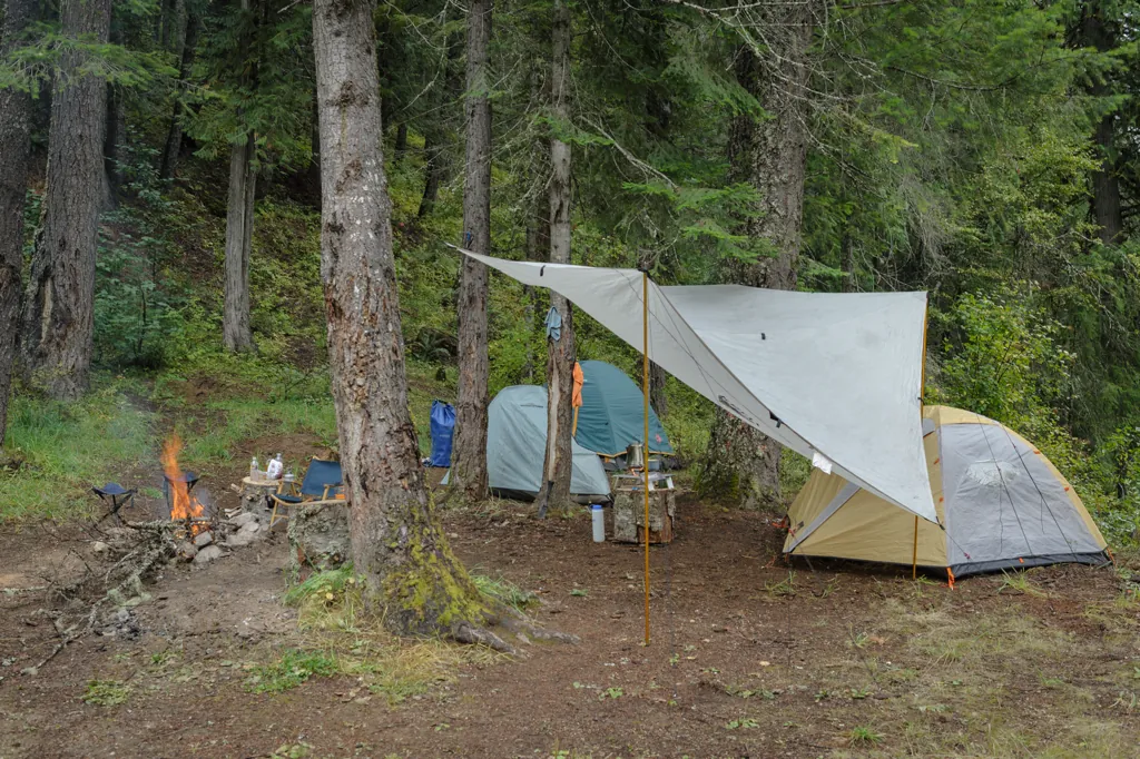 Tents and a tarp