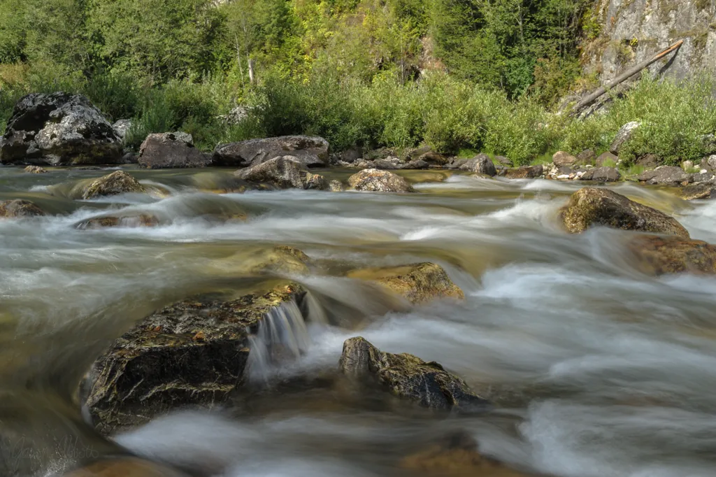 North Fork of the Clearwater