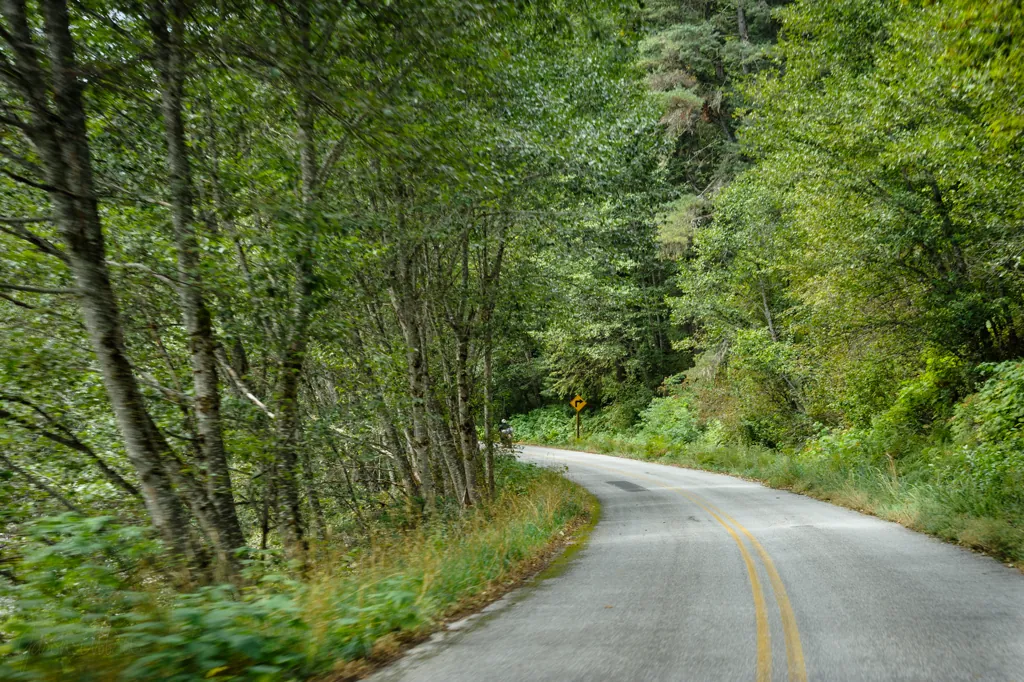 County Road 250