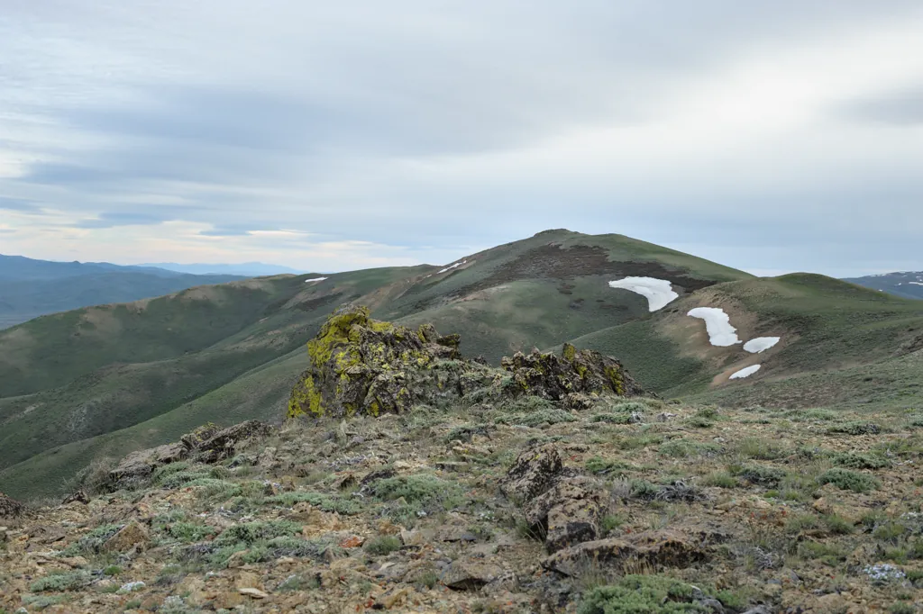 Highest point