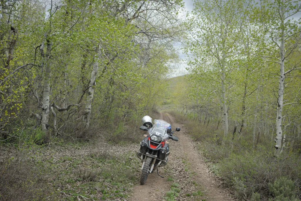 Solo ride