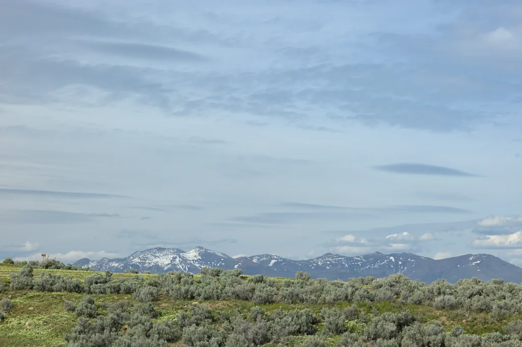 Green hills