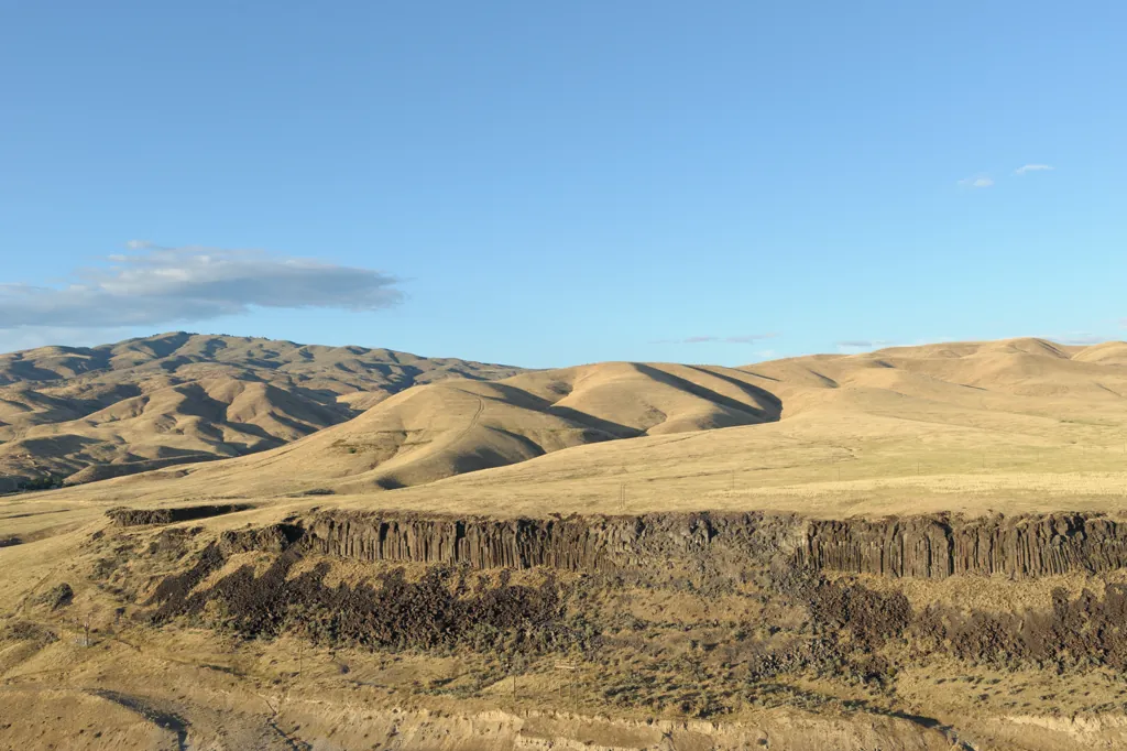 Hills of gold