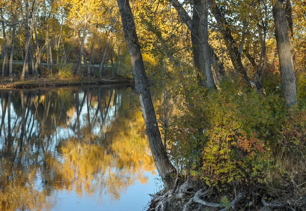 Autumn underwater