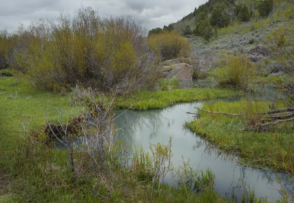 Grey water