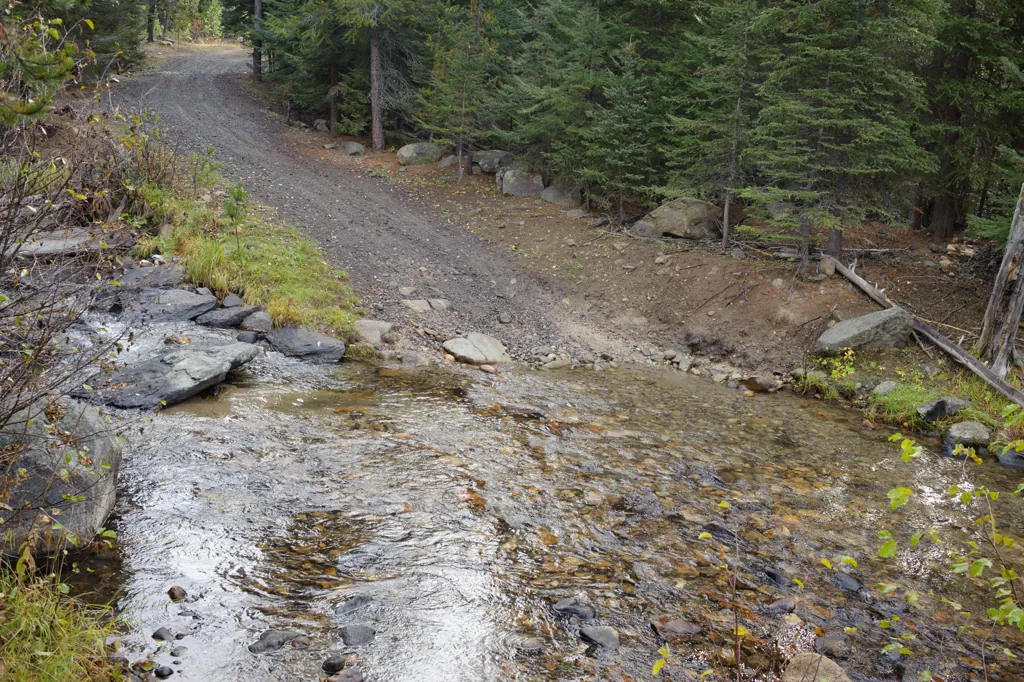 Louie Creek Road