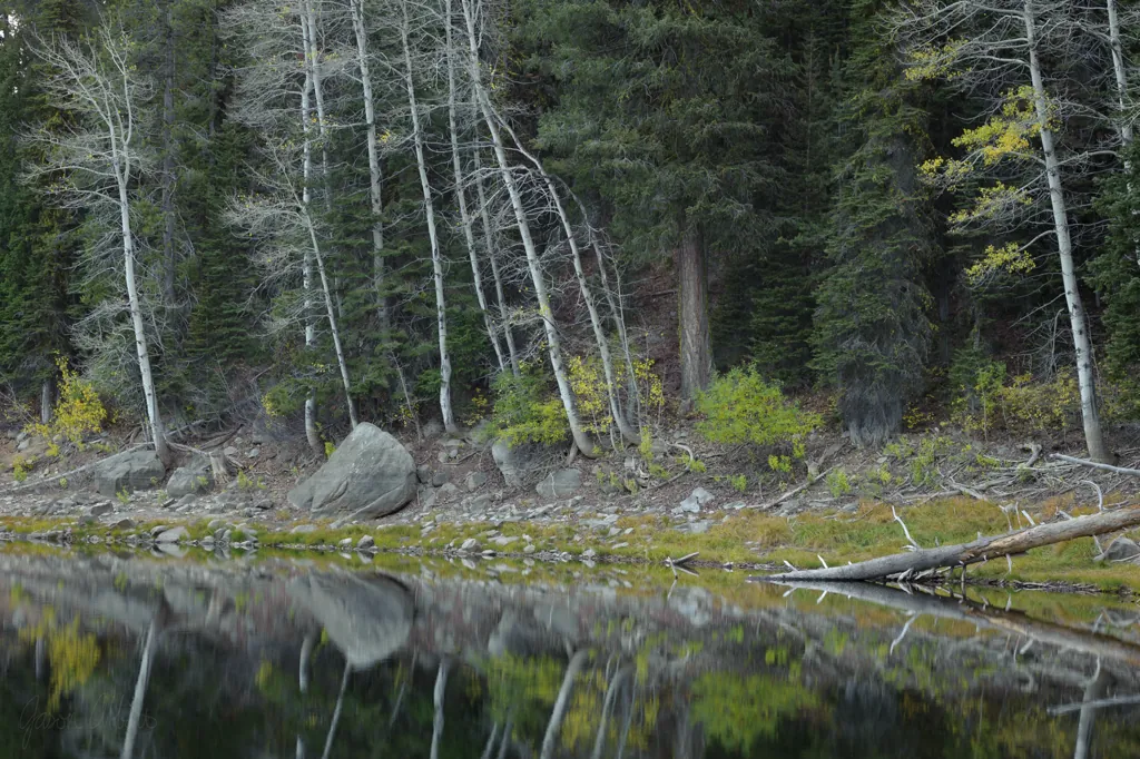 Still shore of Louie Lake