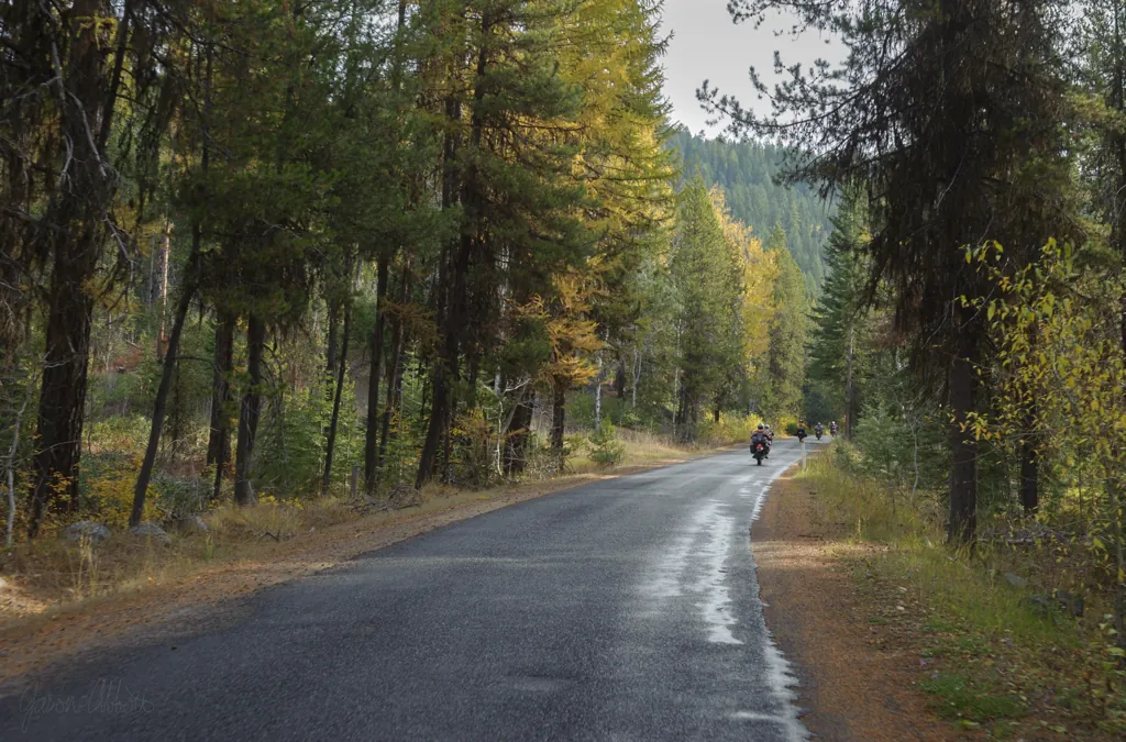 Autumn trees along Lick Creek Road