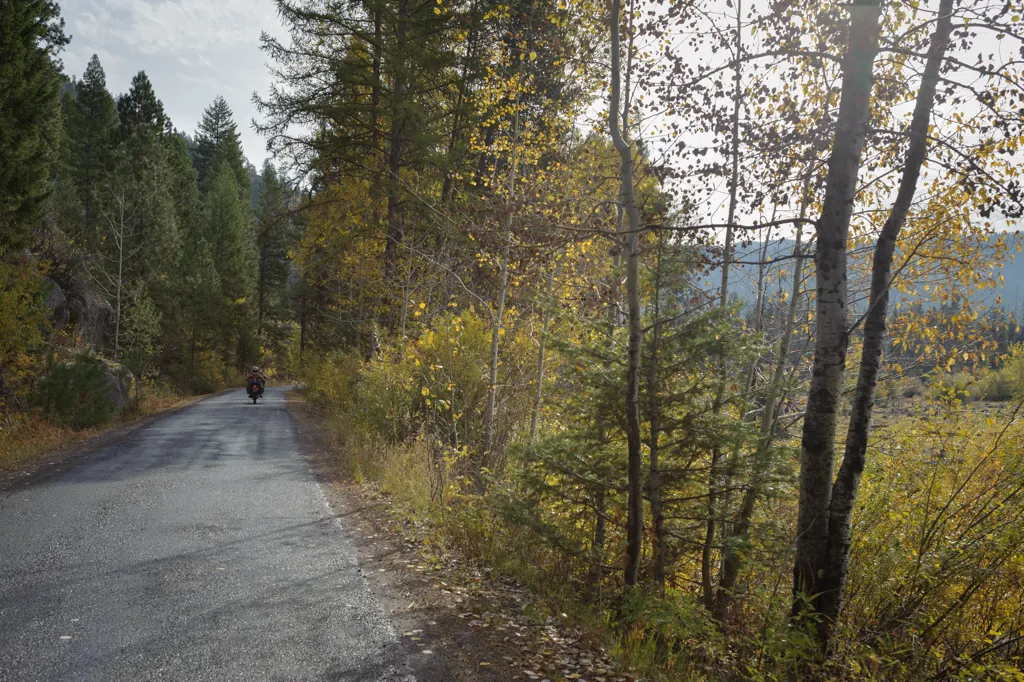Aspen filtered light
