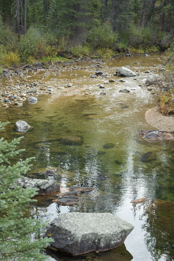 Clear green water along the road