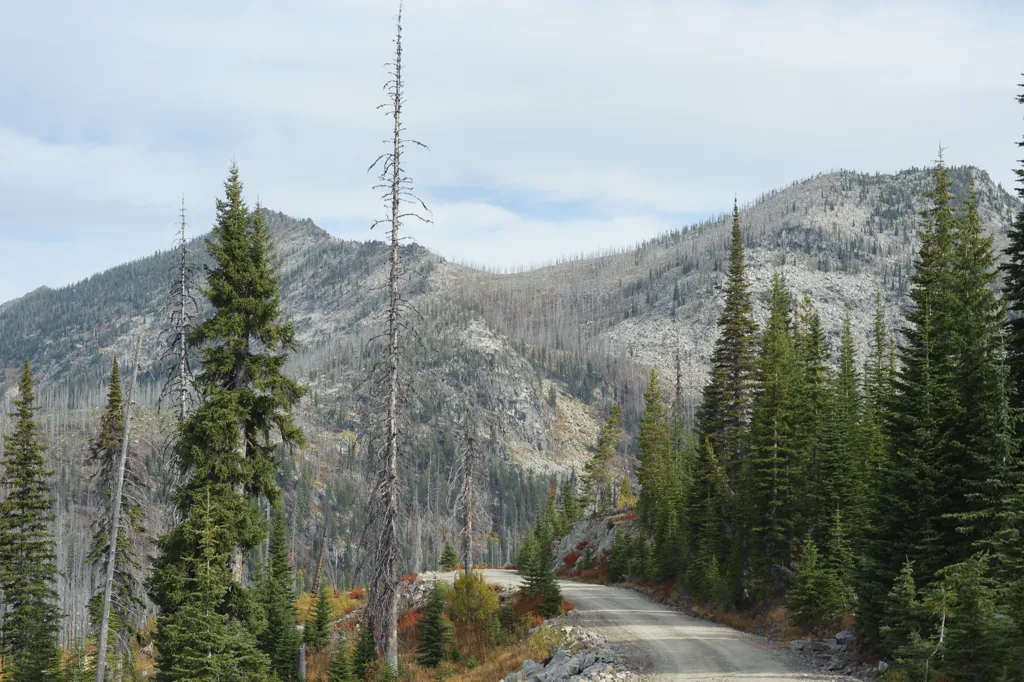 Descend to the valley