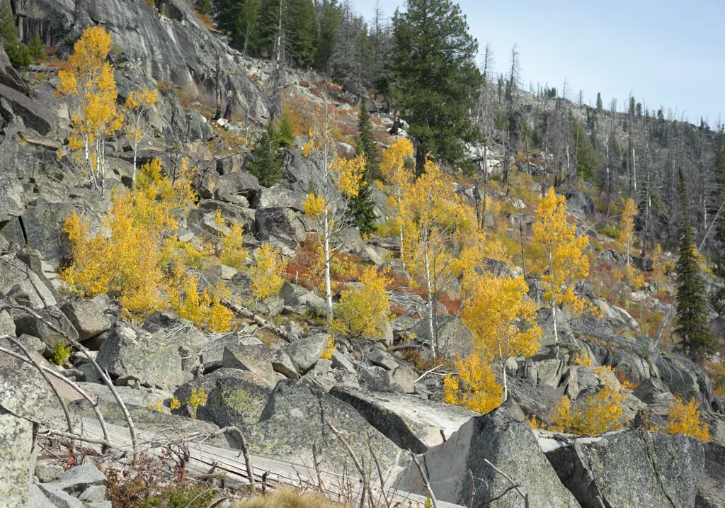 Bright children in the rocks