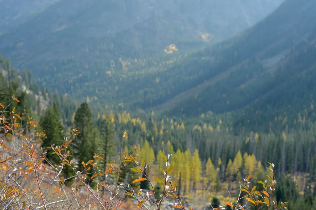 Huge valley haze