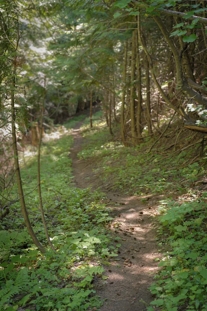 Single track