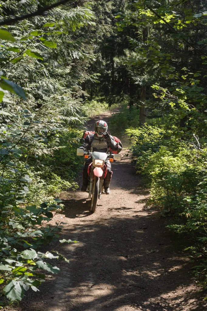 Trail 113 (maybe)