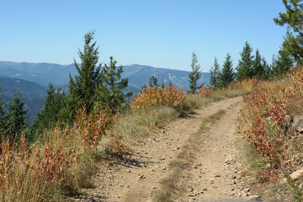 Trail 16