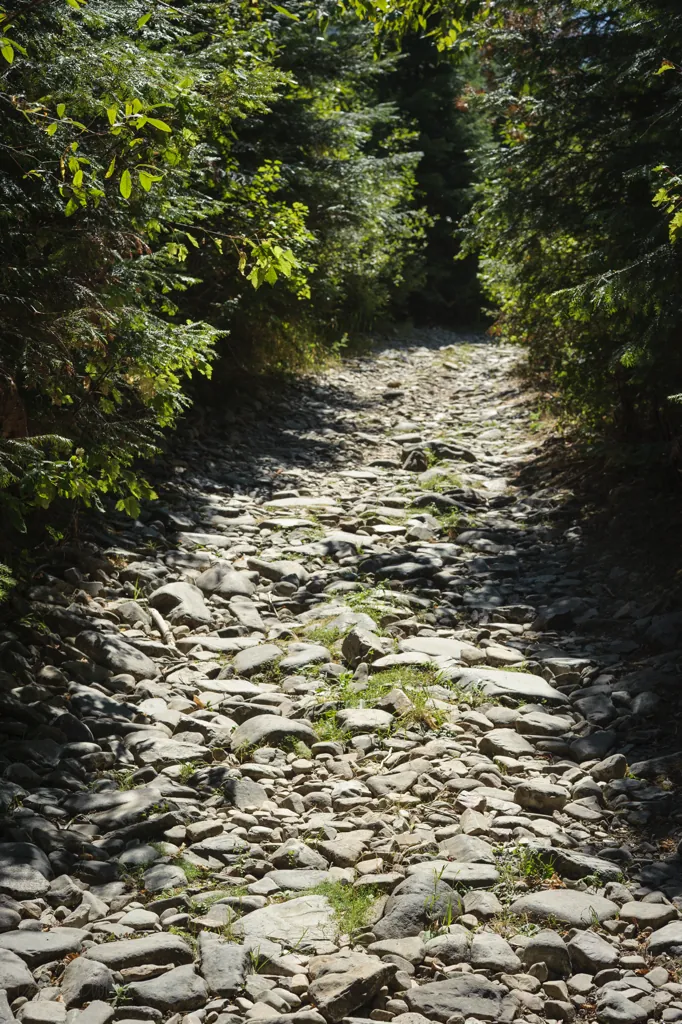 Cobbles