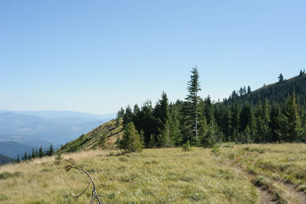The Easy Part of Trail 27