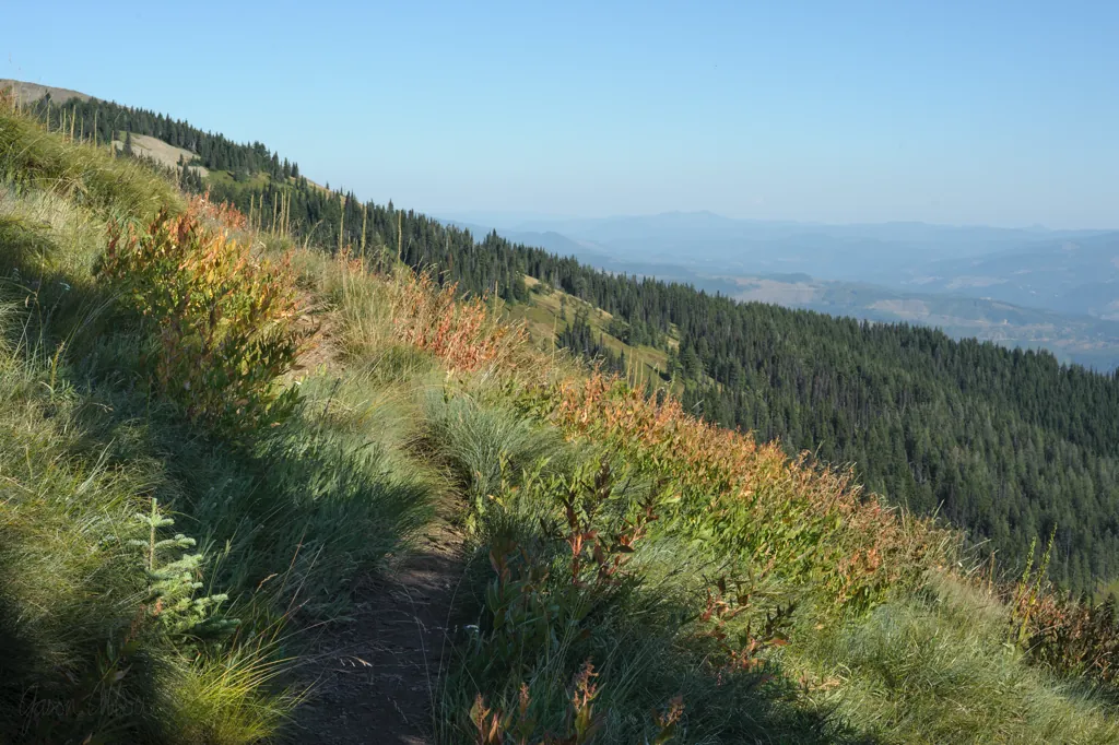 Trail into Crystal Lake