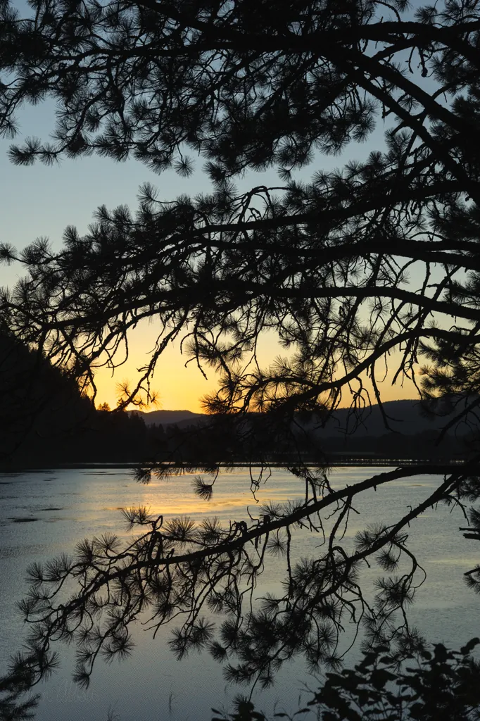 Benewah Lake