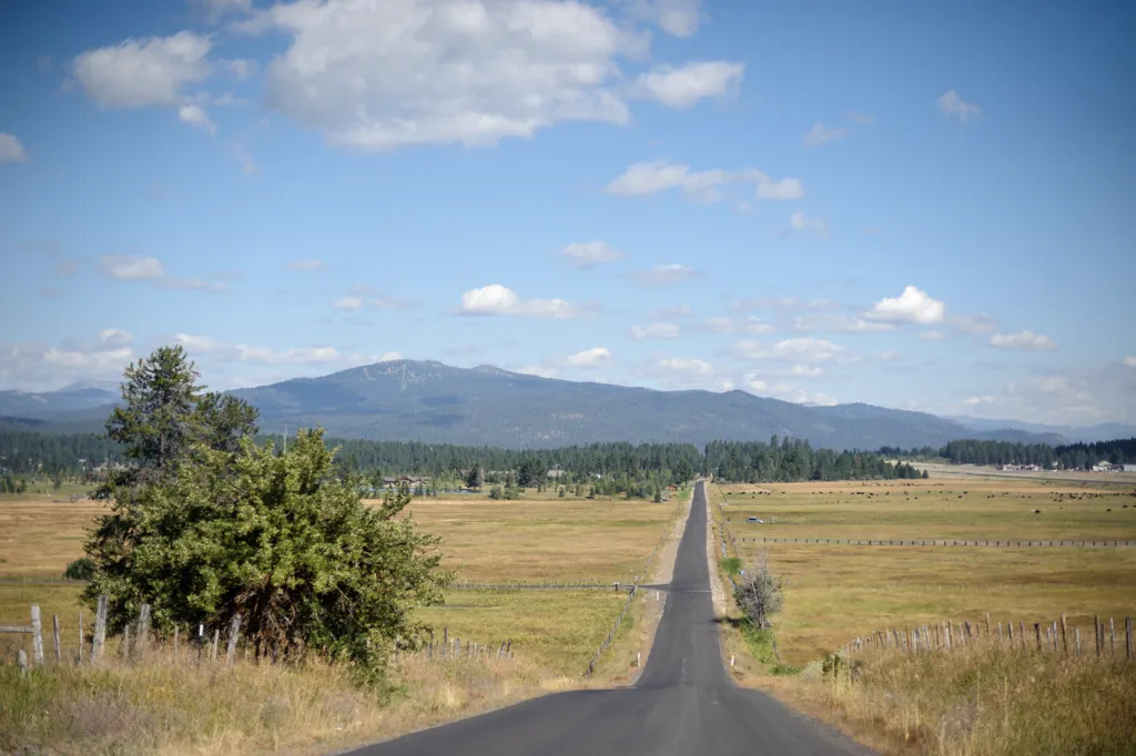 Descending into McCall
