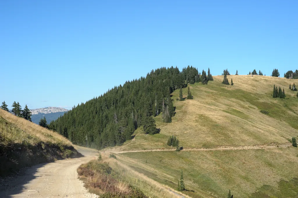 Road 301 by Marks Butte