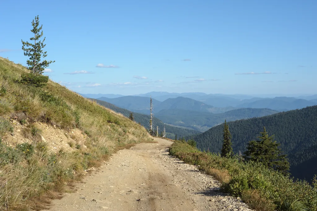 Road to Montana