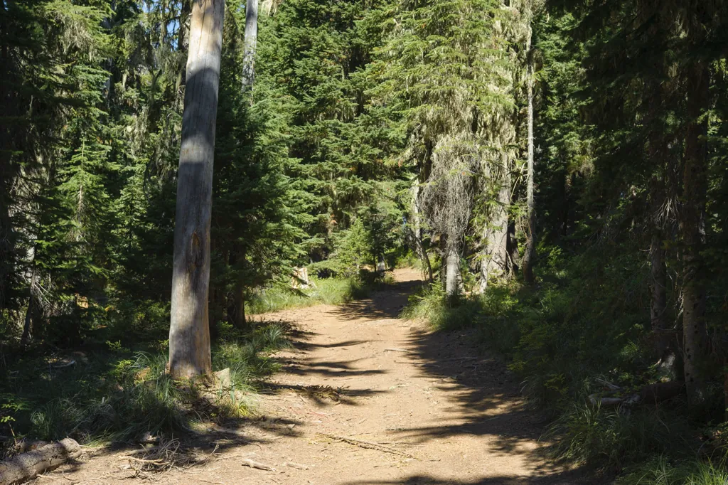 Bullion Pass ATV trailhead
