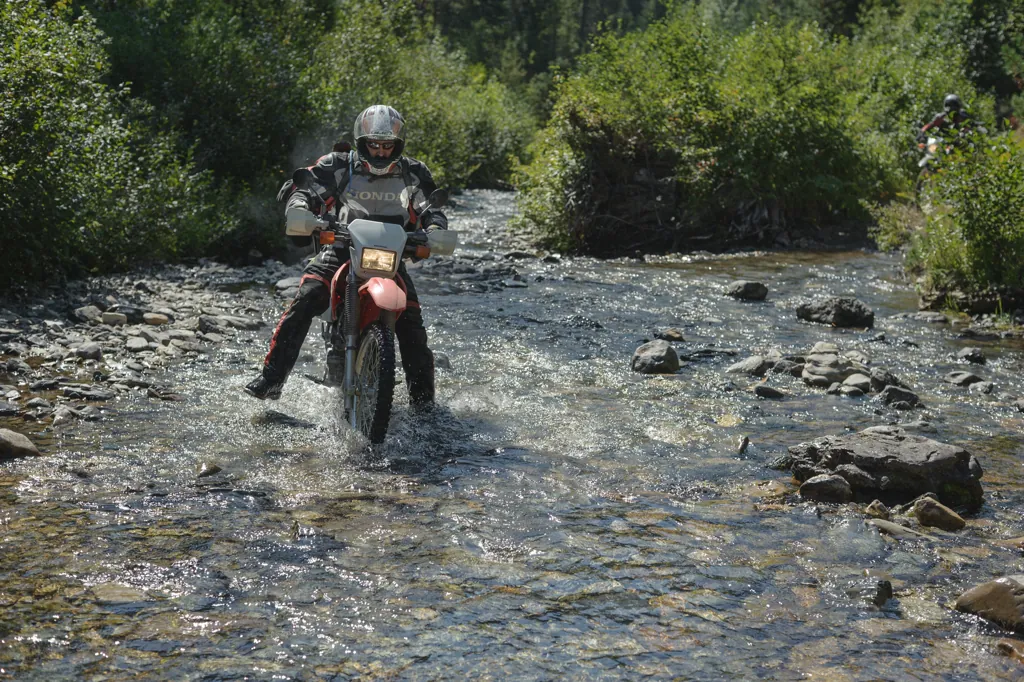 Champion Creek
